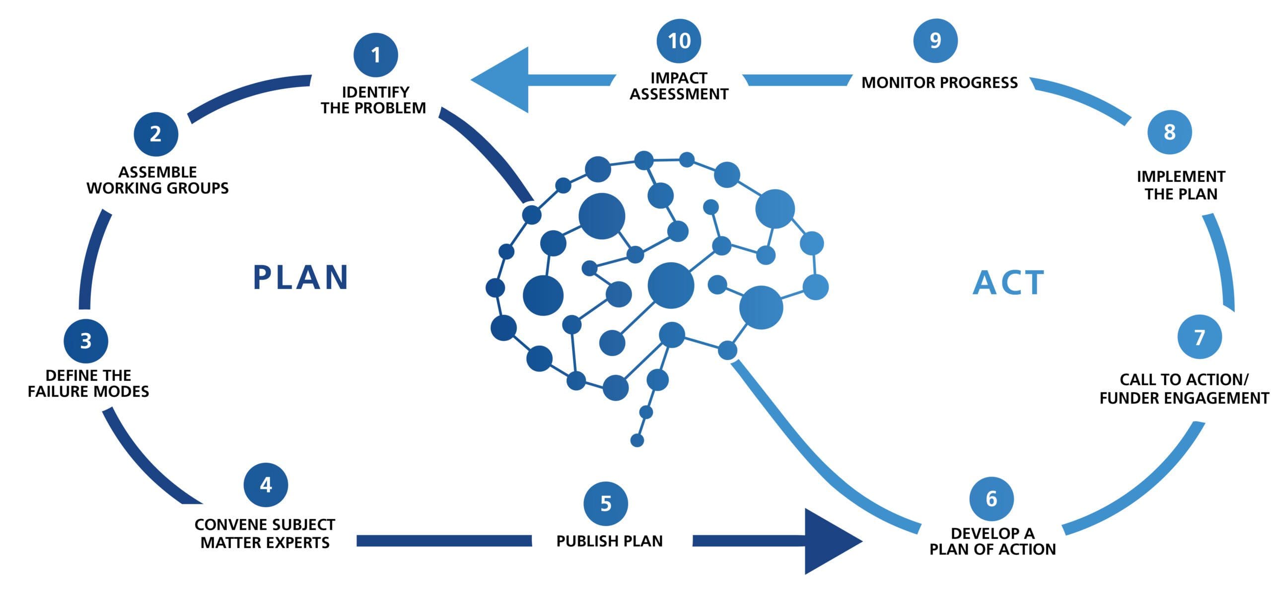 Brain Trauma Blueprint Process