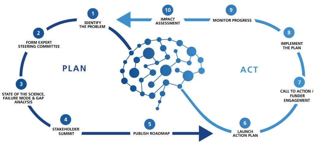 Brain Trauma Blueprint Process