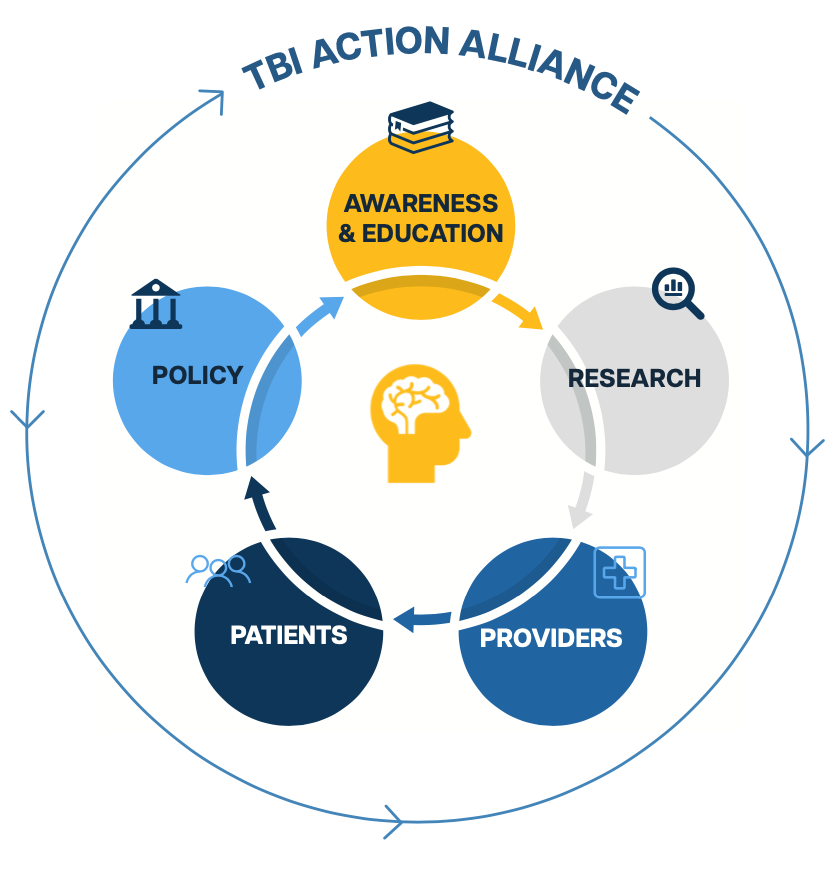 How the TBI Action Alliance Works