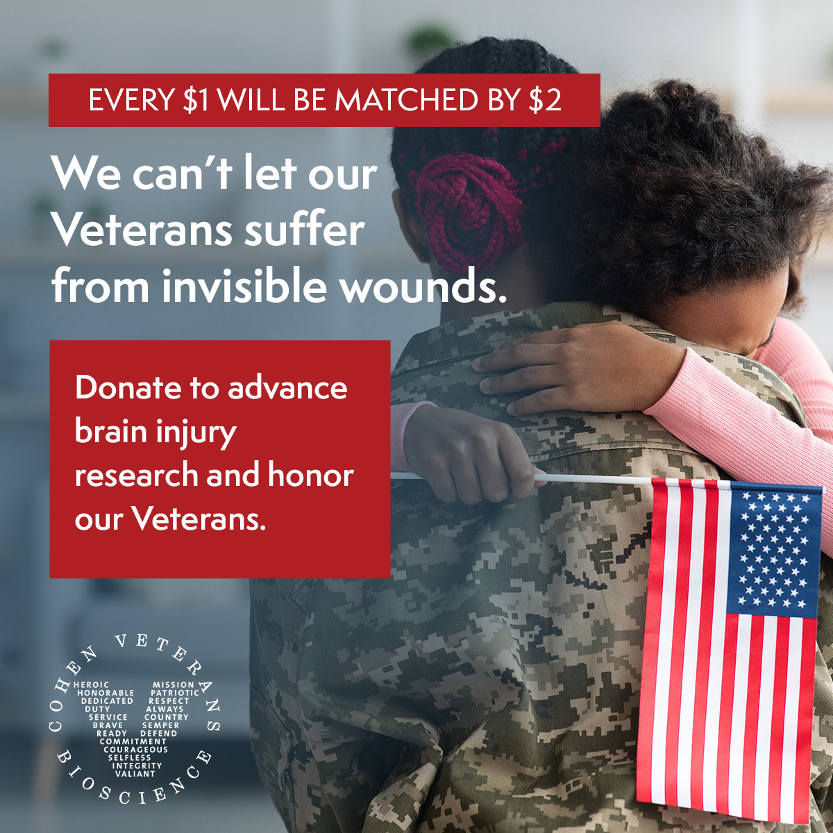 Donate to advance brain injury research